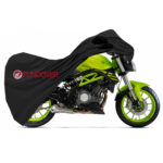 BENELLI NAKED 302s