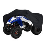 HONDA TRX250X