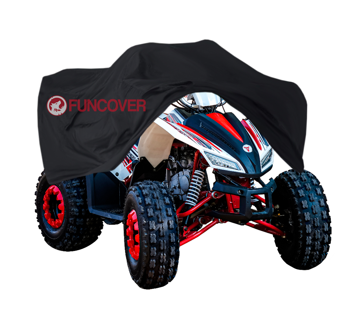 TAO MOTOR COYOTE 125 TAO MOTOR COYOTE 125 - Imagen 1